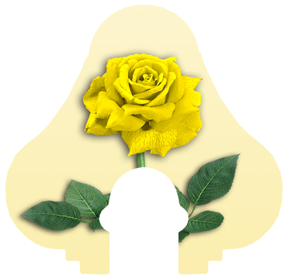 DNSLOG L 083 YE New Yellow Rose